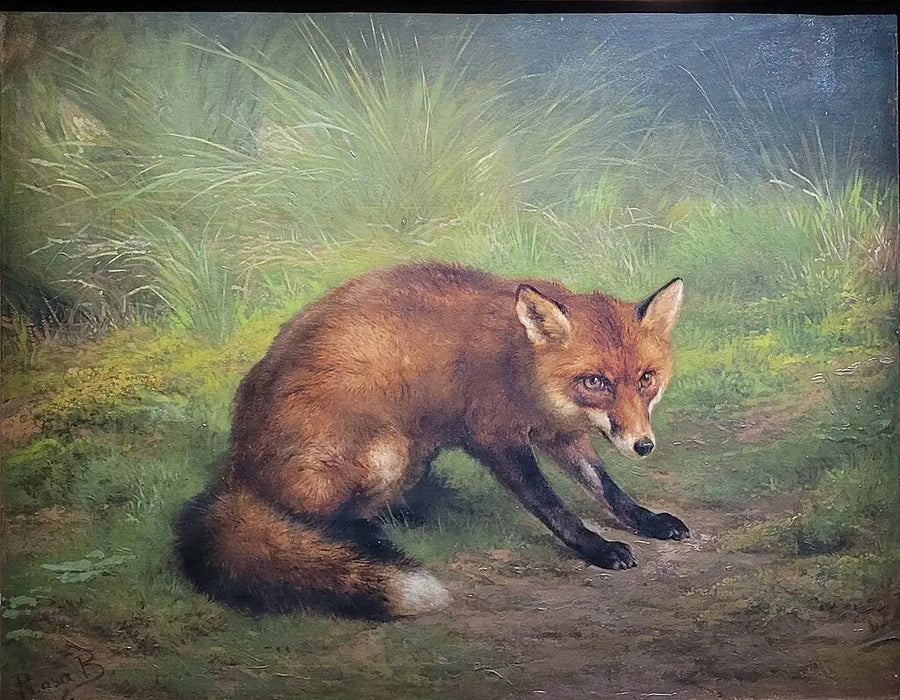 Étude de renard - Rosa Bonheur