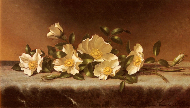 Rosen Cherokee på ett ljusgrått tyg - Martin Johnson Heade