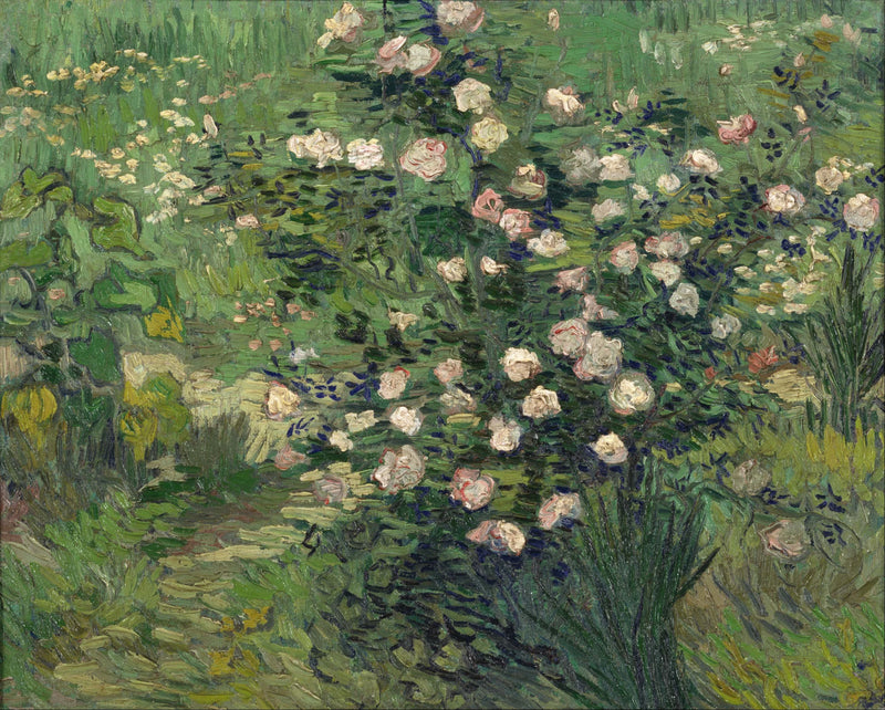 Rosor - Vincent van Gogh