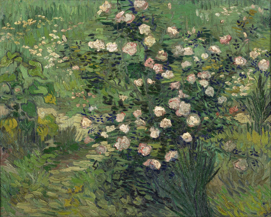 Rosor - Vincent van Gogh