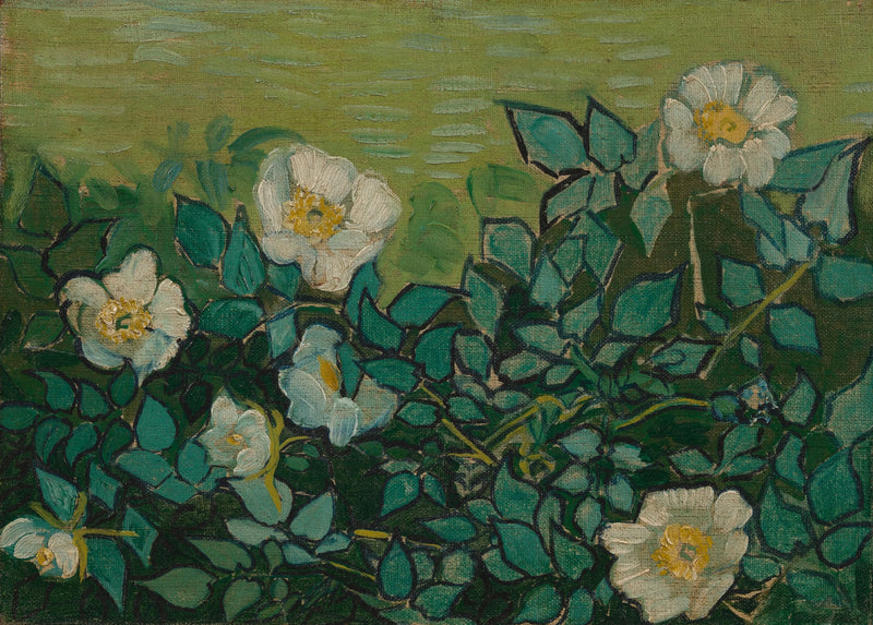 Vildrosor - Vincent van Gogh