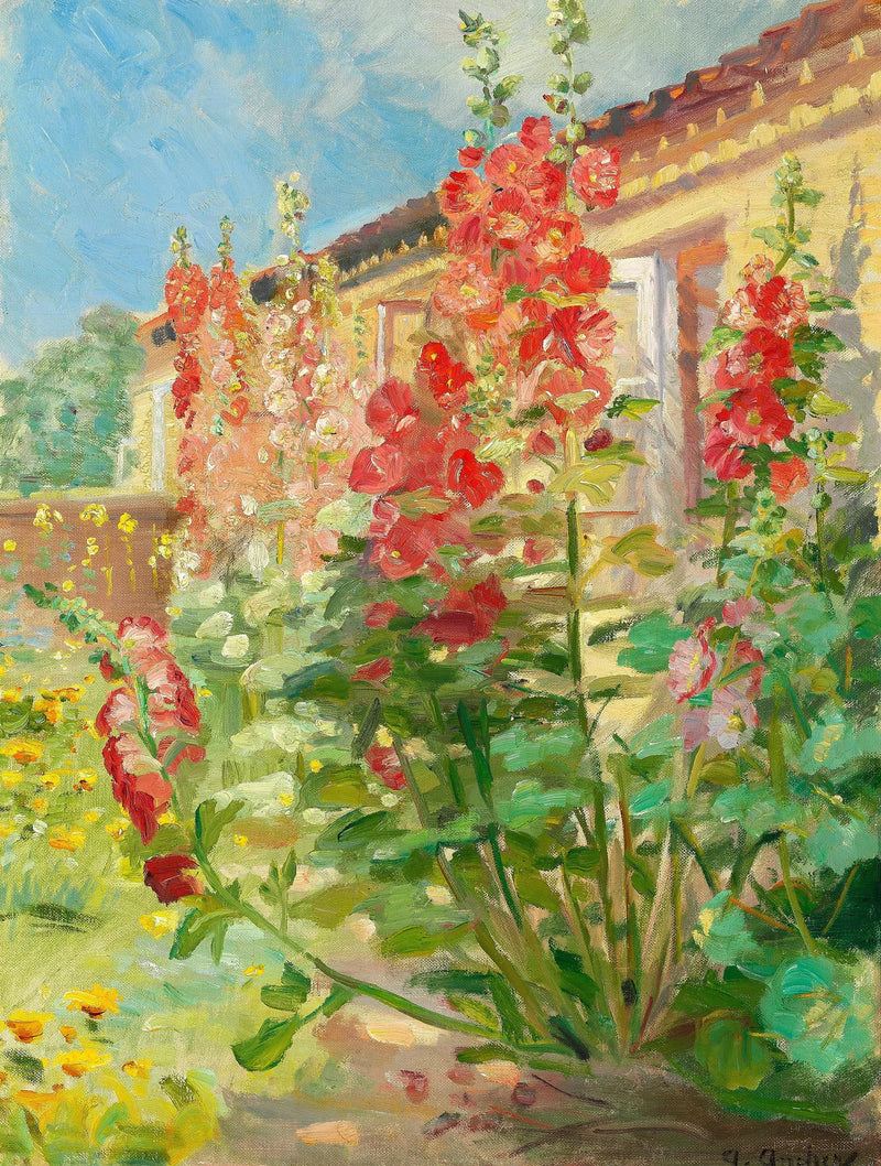 Röda trädgårdsrosor i familjen Anchers trädgård vid Markvej i Skagen. - Anna Ancher