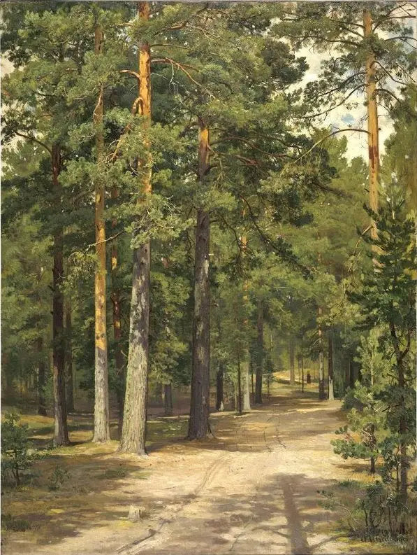 Väg genom tallskogen - Ivan Chichkine