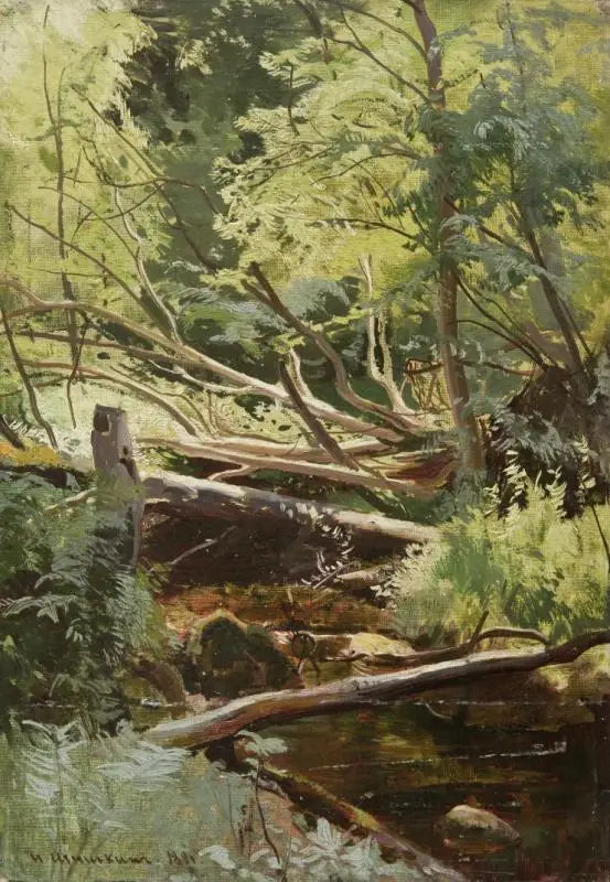Bäck i skogen - Ivan Chichkine