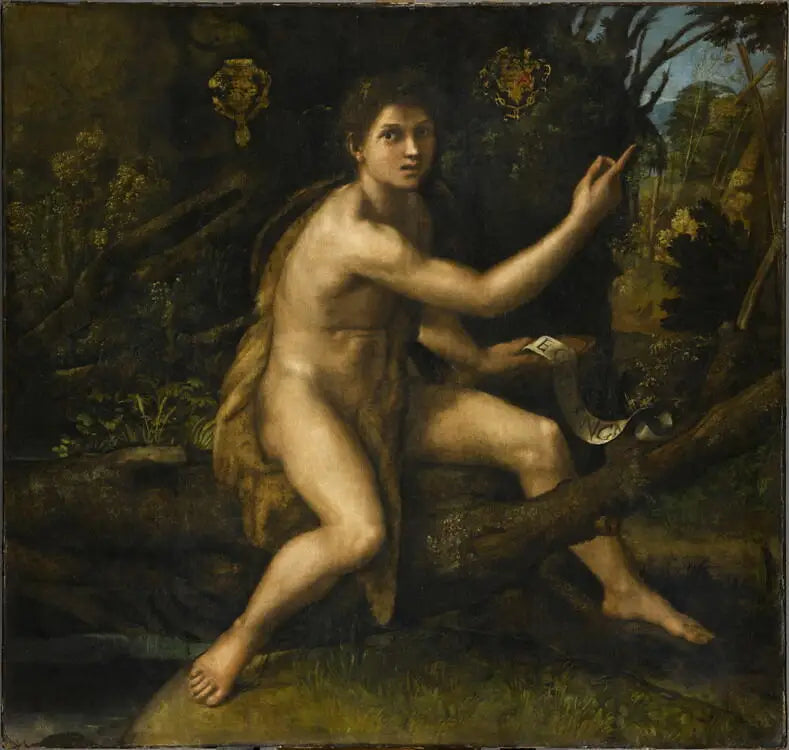 Sankt Johannes Döparen i öknen - Raphael Sanzio