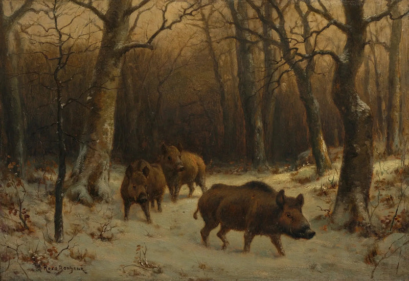 Vildsvin i snön - Rosa Bonheur