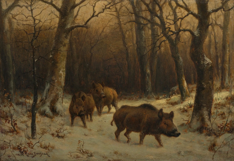 Vildsvin i snön - Rosa Bonheur