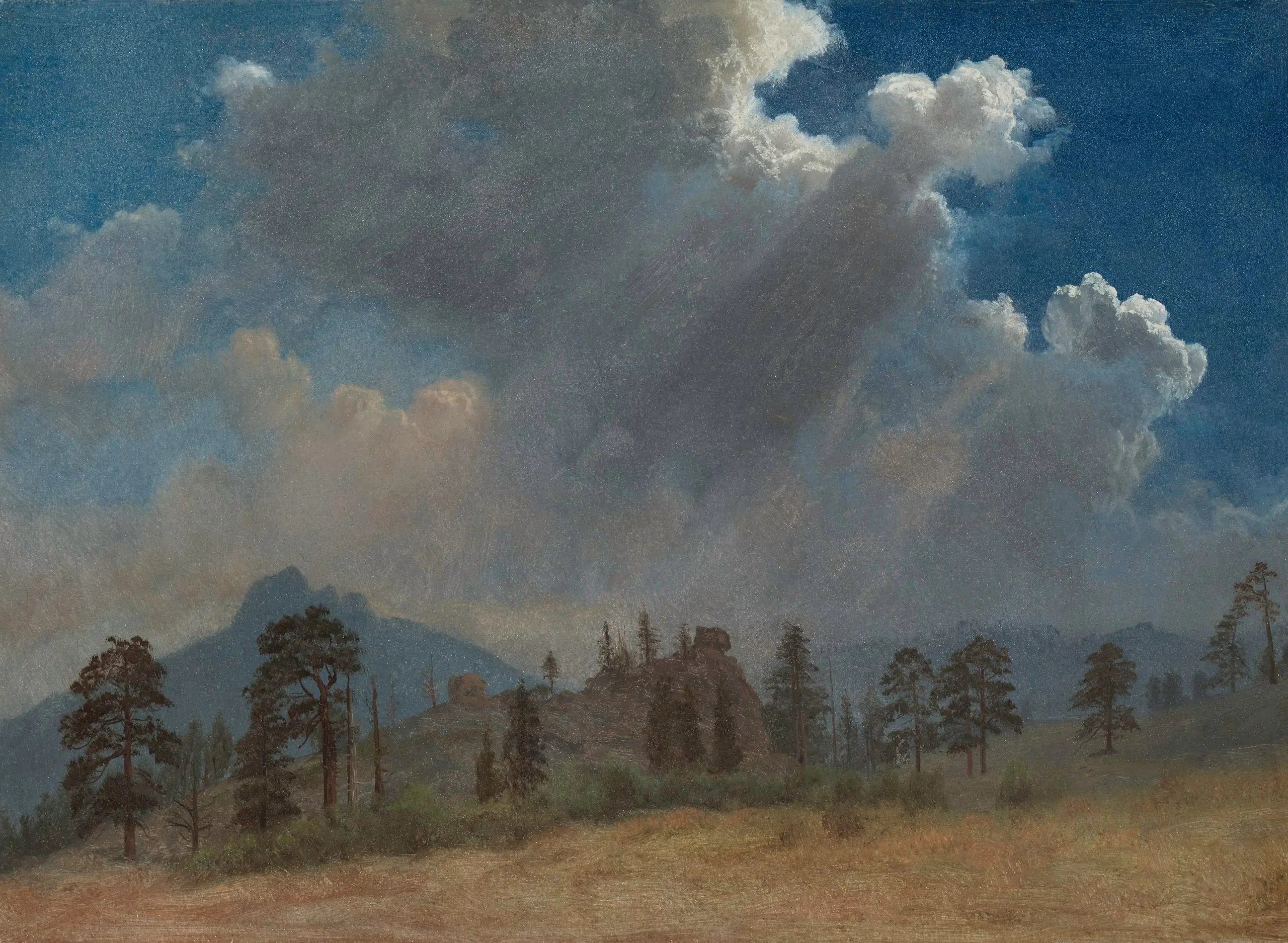 Sapins et nuages d'orage - Albert Bierstadt image 1 reproduction artisanale de tableau