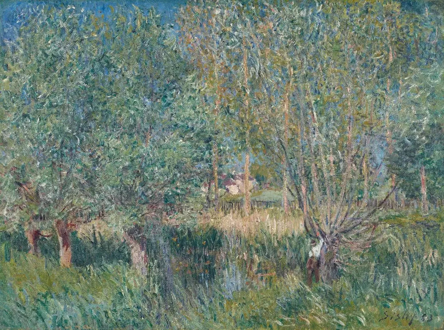 Pärlträ vid Orvanne - Alfred Sisley
