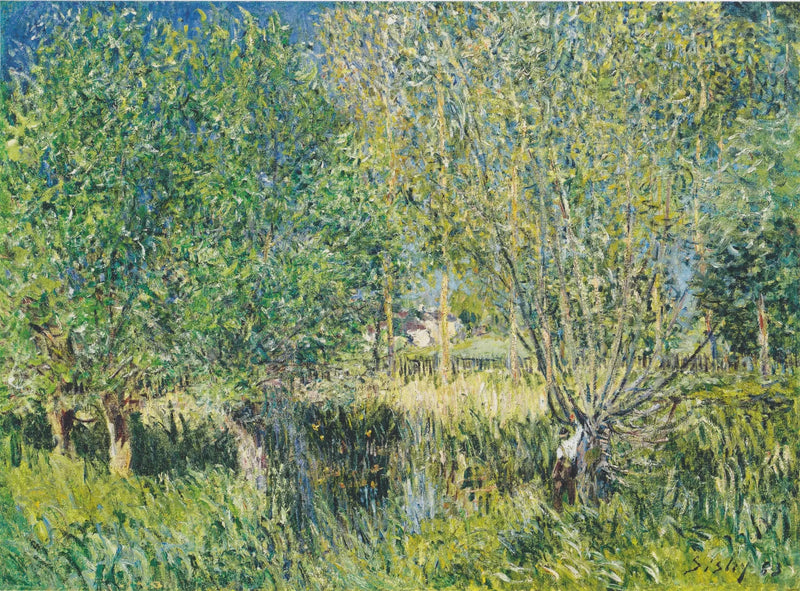 Pärlträ vid Orvanne - Alfred Sisley