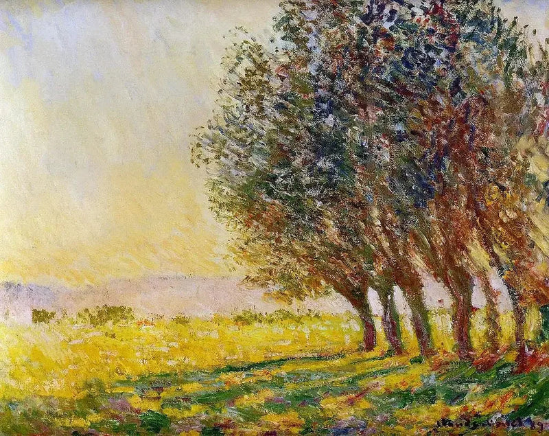 Salix vid solnedgången - Claude Monet