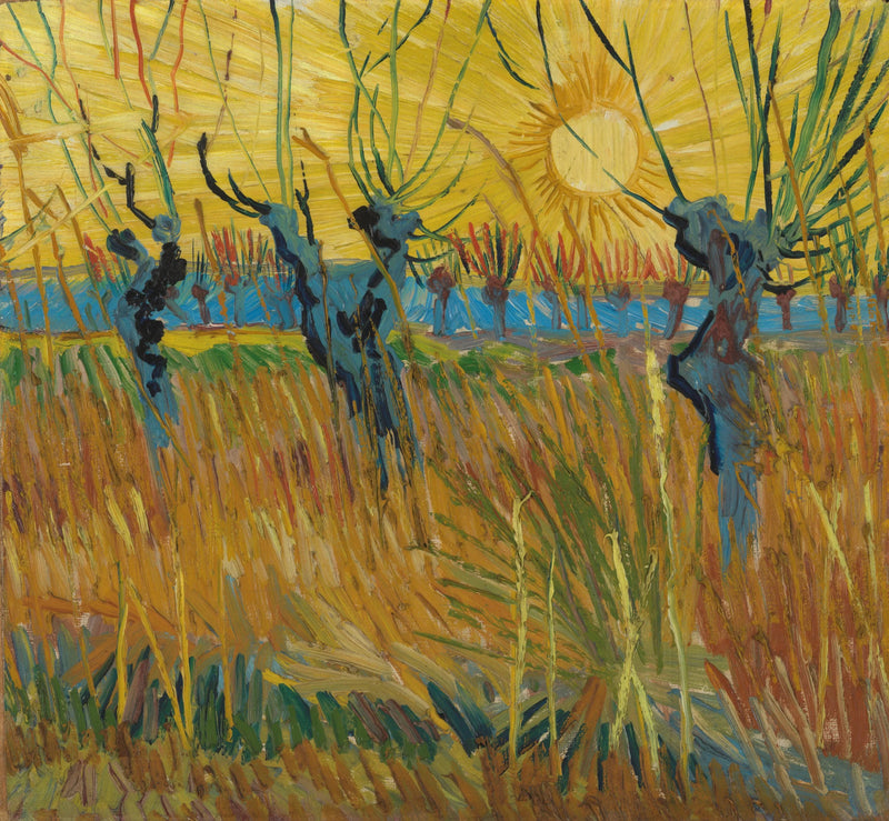 Salix vid solnedgången - Vincent van Gogh