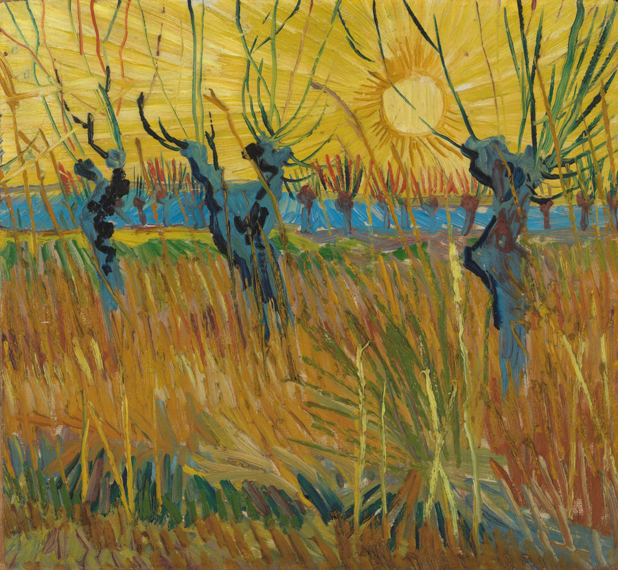 Salix vid solnedgången - Vincent van Gogh
