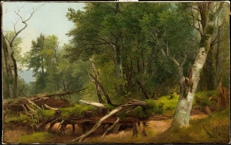 Skogsscen i Catskills - Asher Brown Durand