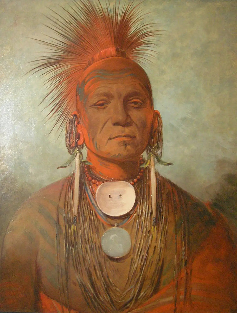 See-non-ty-a, en helare från Iowa - George Catlin