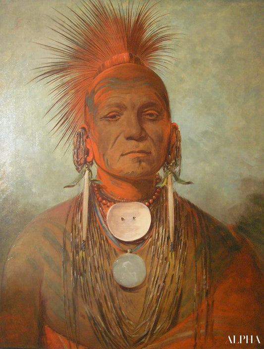 See-non-ty-a, an Iowa Medicine Man - George Catlin - Reproductions de tableaux et peintures haut de gamme