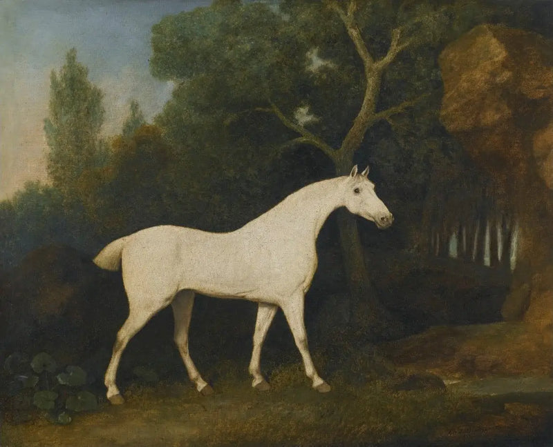 Selim, en grå jägare i en inhägnad - George Stubbs