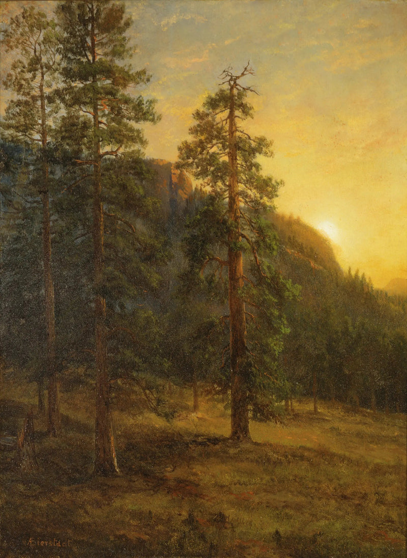 Sequoias de Kalifornien - Albert Bierstadt