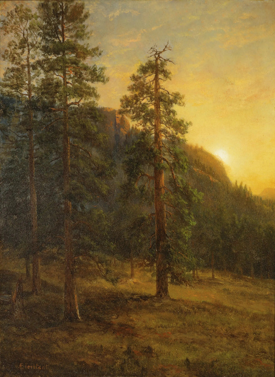 Sequoias de Kalifornien - Albert Bierstadt