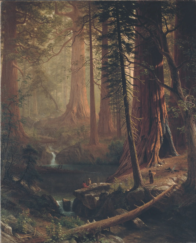Sequoiadendron giganteum i Kalifornien - Albert Bierstadt