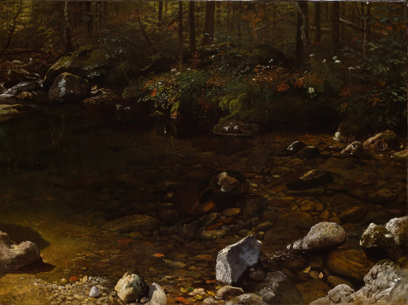 Skuggig pool, Vita bergen, New Hampshire - Albert Bierstadt