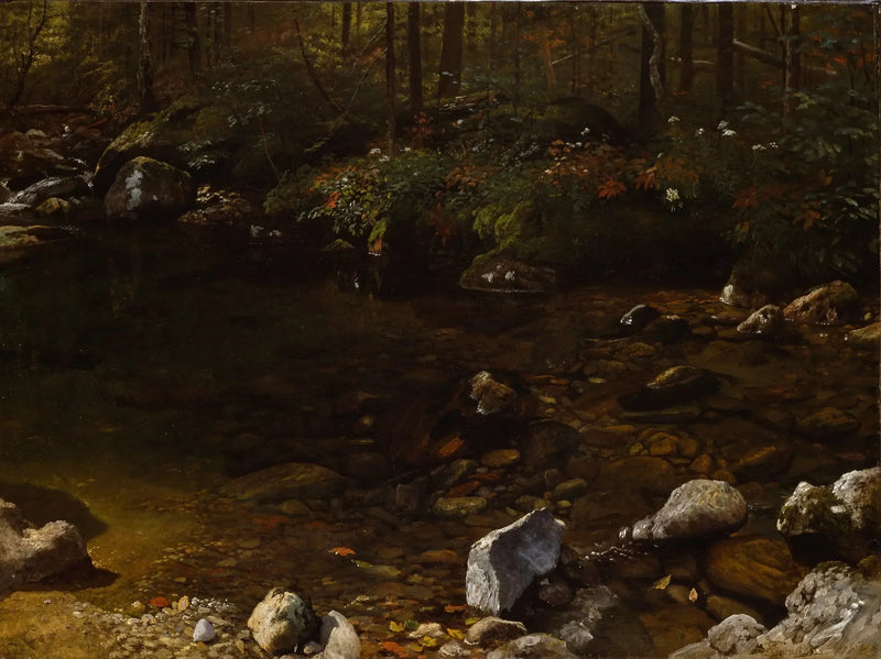 Skuggig pool, Vita bergen, New Hampshire - Albert Bierstadt