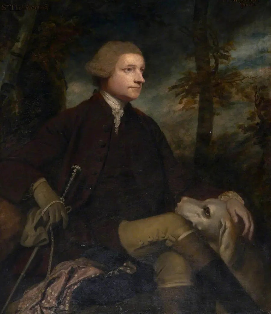 Sir Thomas Dyke Acland, 3:e/7:e baronett Acland de Columb-John MP (1722-1785) - Joshua Reynolds