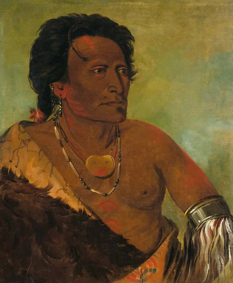 Sky-se-ró-ka, andra ledare för stammen - George Catlin