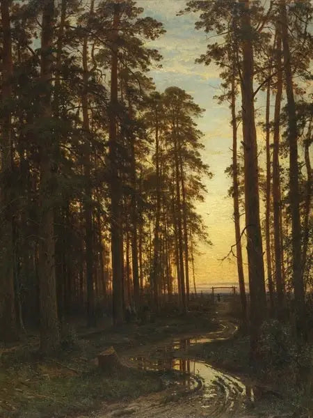 Kväll i en tallskog - Ivan Chichkine