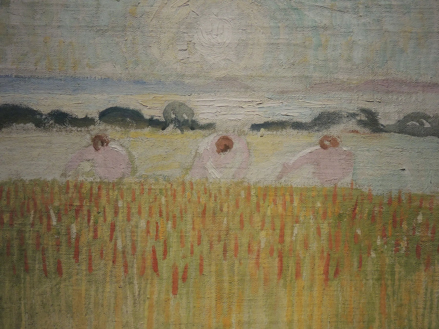 Vitt solsken över vetet - Maurice Denis