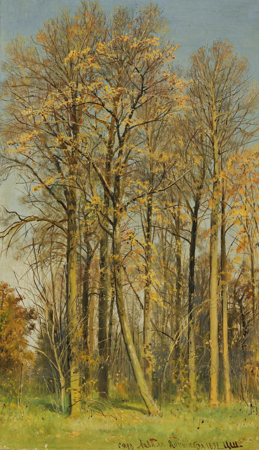 Sorbier av sorbier på hösten - Ivan Chichkine