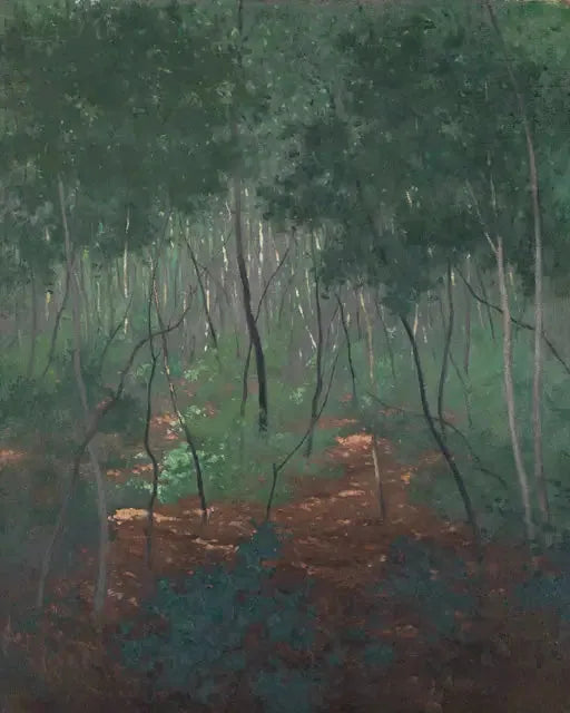 Undervegetation, lätta träd - Félix Vallotton