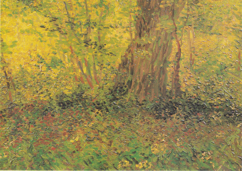 Undervegetation - Vincent van Gogh