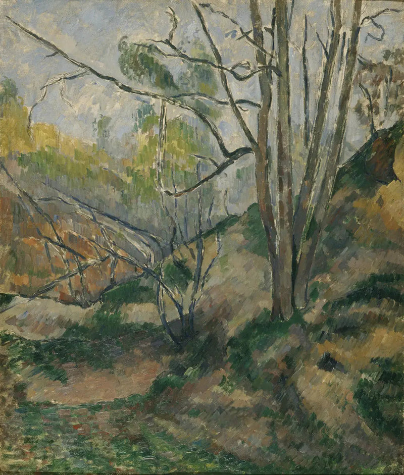 Undervegetation - Paul Cézanne