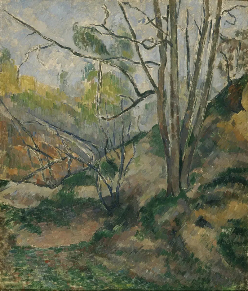 Undervegetation - Paul Cézanne