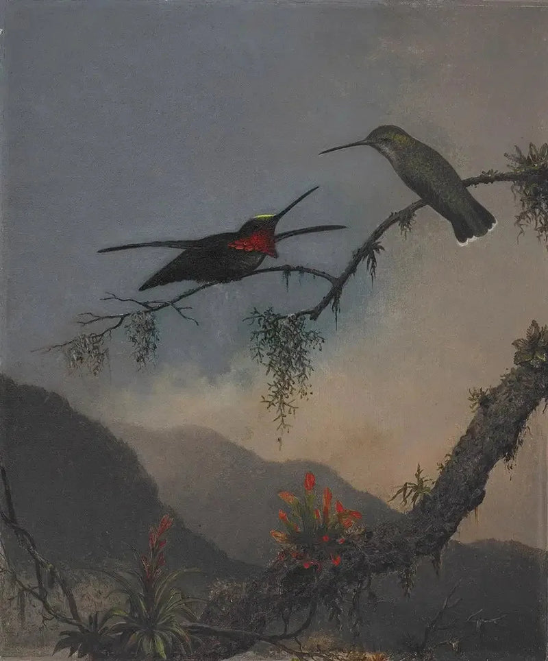 Startkrage med randig bröst - Martin Johnson Heade