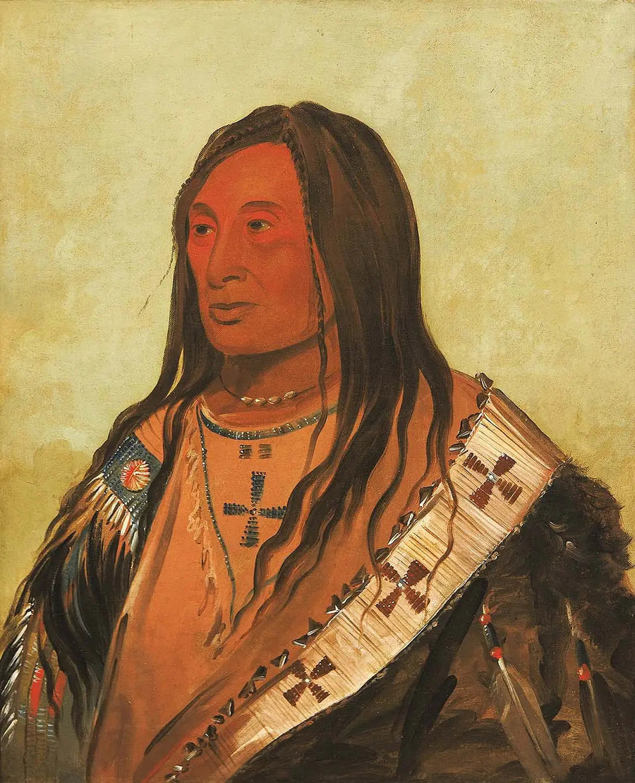 Táh-zee-keh-dá-cha, Tjockt mage, en hederlig gentleman - George Catlin