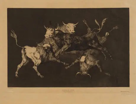 Tjurar - Francisco de Goya