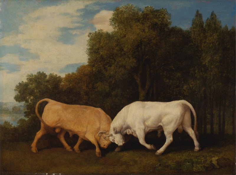 Tjurar - George Stubbs