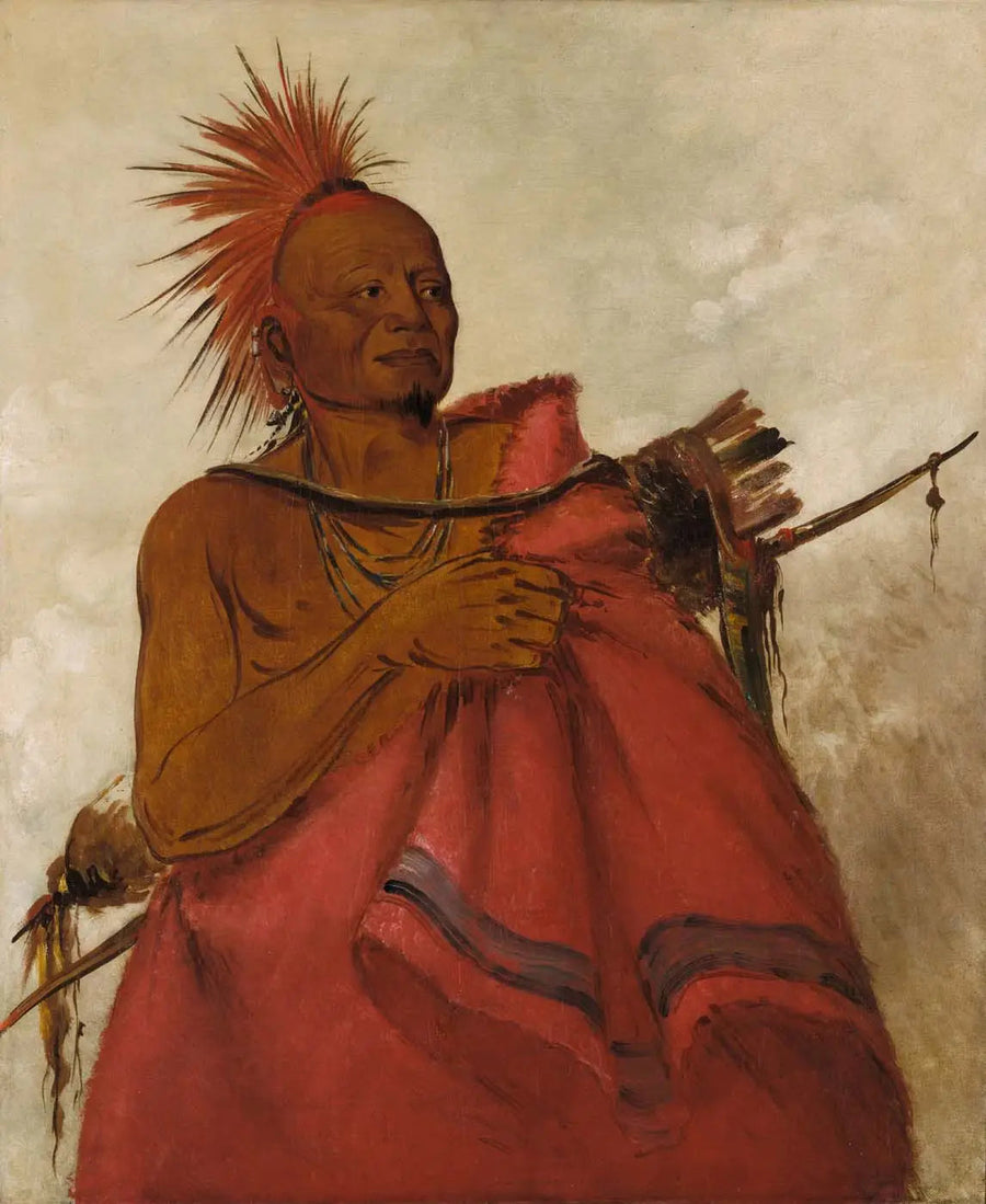 Tcha-tó-ga, Buffel galen, mördare av två vita män - George Catlin