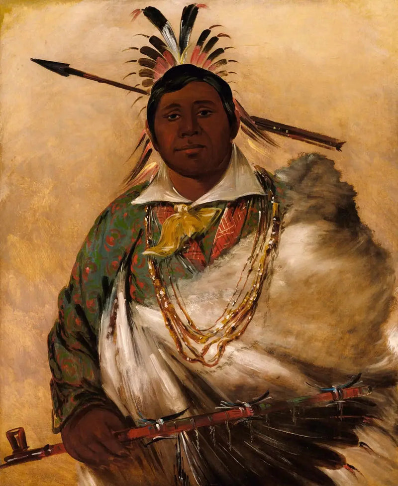 Téh-ke-néh-kee, svart kappa, en chef - George Catlin