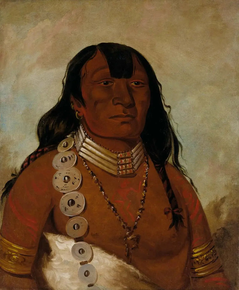 Téh-tóot-sah (bättre känd som Tohausen, Little Bluff), ledande hövding - George Catlin