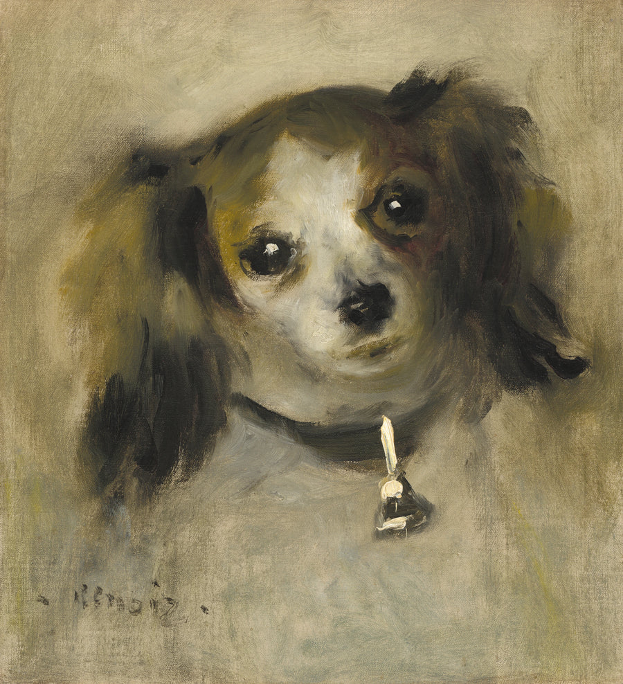 Hundhuvud - Pierre-Auguste Renoir