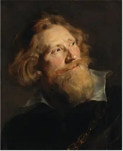 Skäggig mans huvud - Peter Paul Rubens