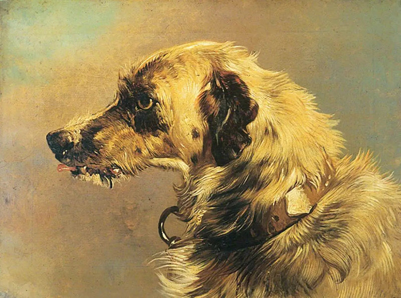 En jakthundhuvud - Edwin Henry Landseer