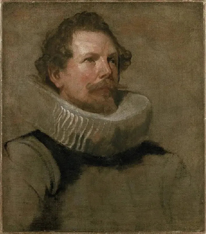 Huvud av en skäggig man med en roterande fräs - Antoine van Dyck