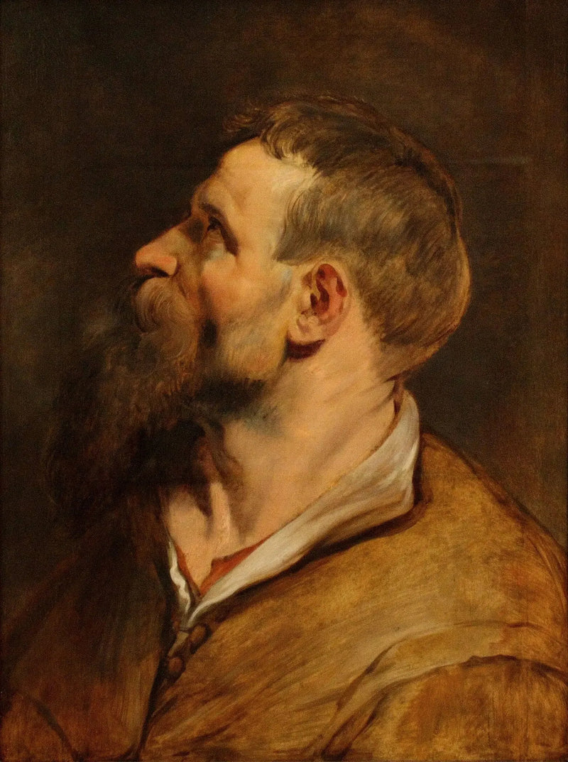 En skäggig man som tittar åt vänster - Peter Paul Rubens