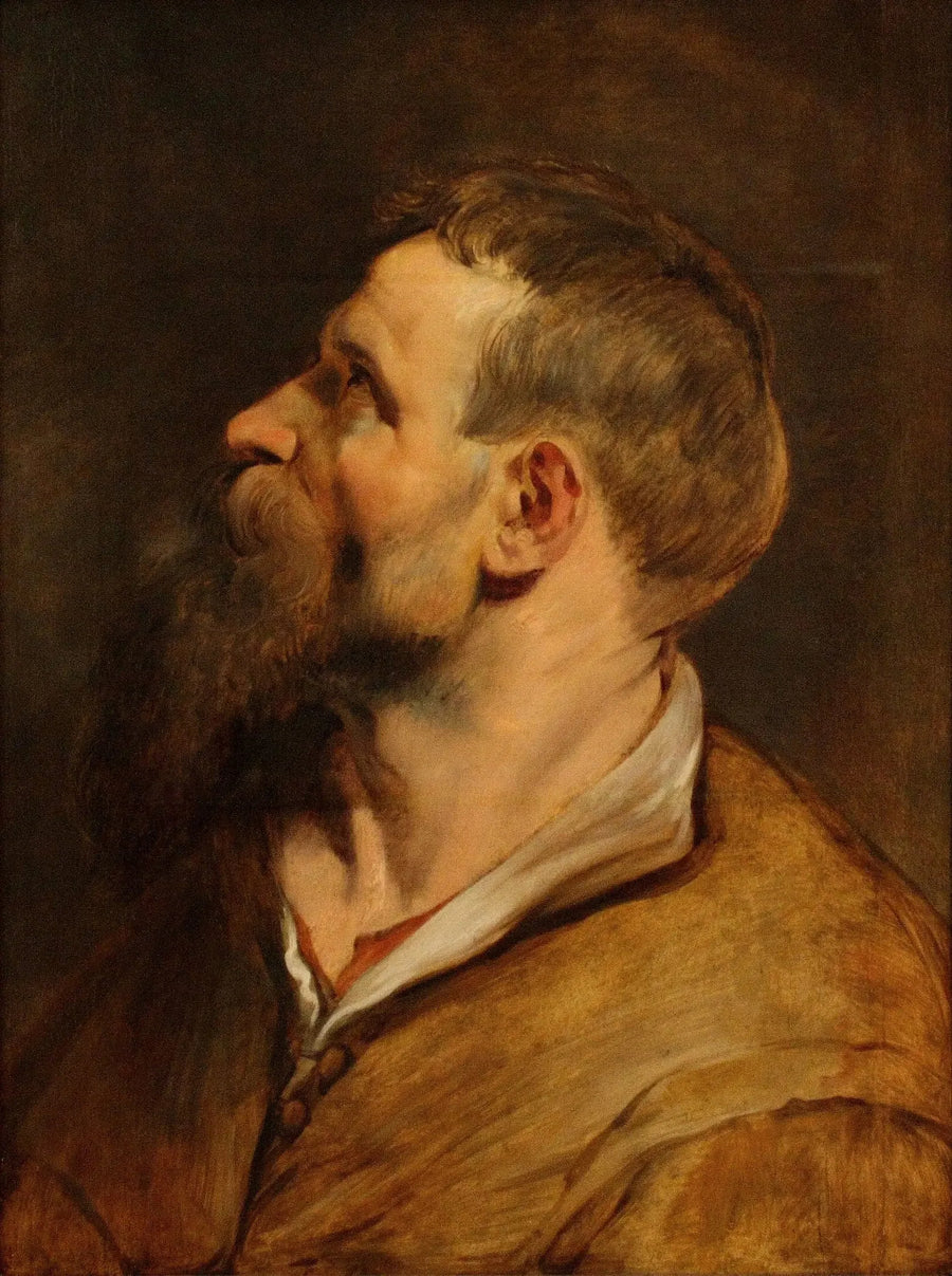 En skäggig man som tittar åt vänster - Peter Paul Rubens