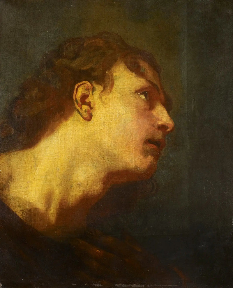 En ung mans huvud - Antoine van Dyck