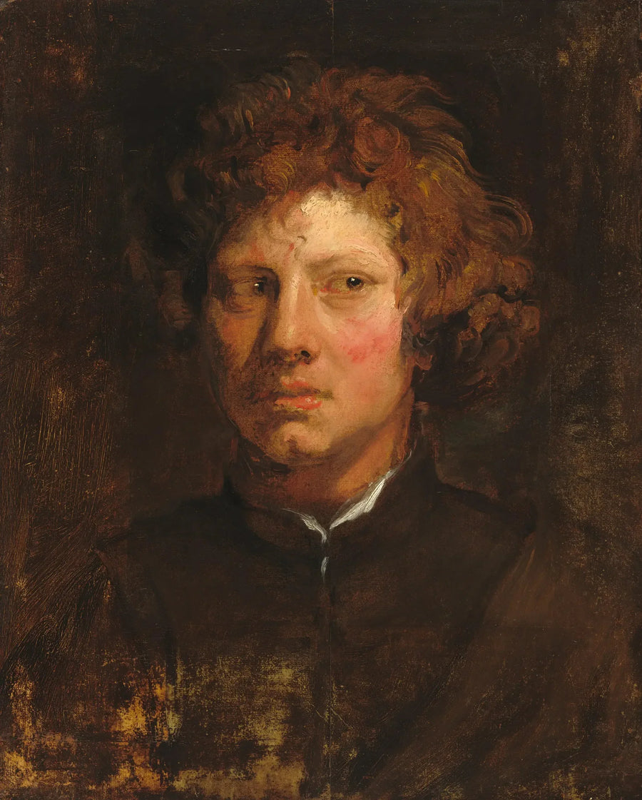 En ung mans huvud - Antoine van Dyck